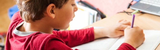 Nova istraživanja: Kako učenje jezika utiče na razvoj mozga