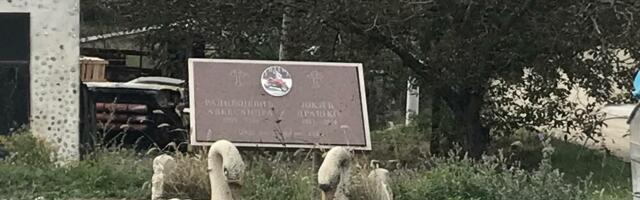 Ibarska magistrala odnela desetine života u Mojsinju: Meštani traže da se spreči divljanje vozača