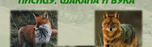 Grupni lov i ručak u organizaciji LD „Fazan” Pranjani - prijave do 21. januara