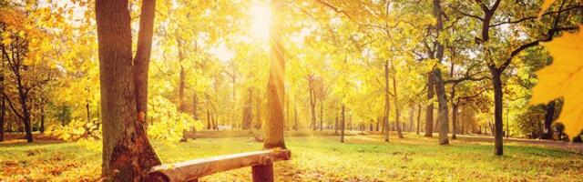 Danas u Srbiji sunčano vreme, temperatura do 16 stepeni
