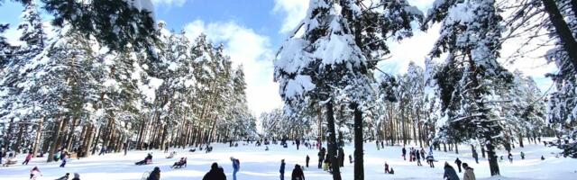 Vremenska prognoza za prve dane 2025. godine: Temperatura i do 12 stepeni