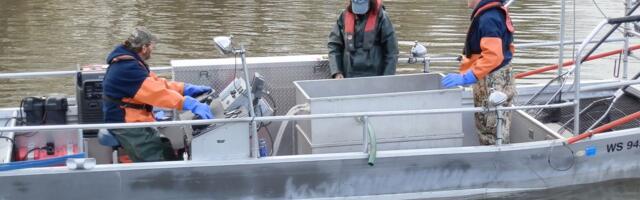 NAĐENO STVORENJE SA 24 OKA! Ko zna koliko dugo se krilo u mutnom jezeru, ali je konačno otkriveno