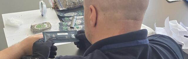 Marihuana poštom ih Holandije stigla u Niš