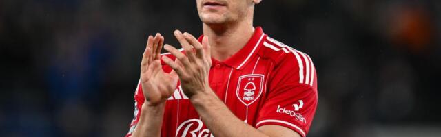 MILENKOVIĆ STRELAC - ALI U POGREŠNU MREŽU! Autogol Srbina, pobede Sitija, Evertona, Totenhema i Njukasla