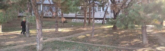 Dramatično na Konjarniku pred Novu godinu! Grupa dece teroriše celo naselje: "Situacija opasna i neizdrživa"