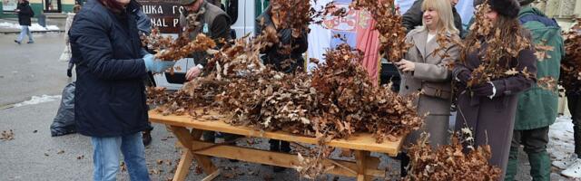 Podeljeni besplatni badnjaci na Trgu slobode i drugim lokacijama u okolini Novog Sada