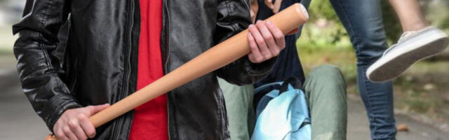 RASPISANA POTERNICA ZA NAPADAČEM IZ PARKA U NOVOM SADU! Grupa batinaša umalo ubila maloletnika, preti im doživotna robija!