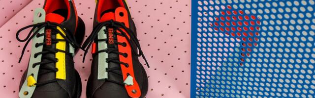 Korak po korak bliže savršenstvu!