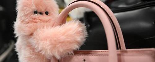 Labubu dobio ozbiljnu konkurenciju: Plišani robot Mirumi postaje novi hit i uopšte nije jeftin