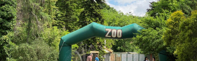 Тужилаштво истражује ЗОО врт Палић