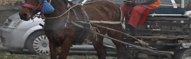 KRALI BANDERE SA TRAFOIMA PORED PRUGE! Iznenadili se kada su ugledali policiju, UHAPŠENI LOPOVI U NOVOM SADU