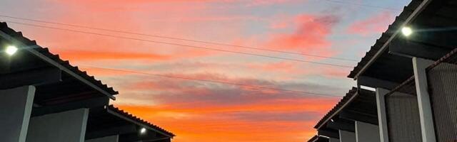 Sistem koji daje rezultate: Aranđelovac smanjio broj napuštenih pasa na ulicama