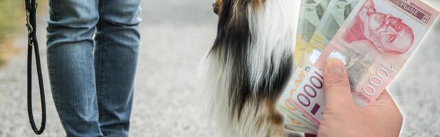 "Ti bi da za 2 sata šetnje dobiješ 2.000 dinara?!" Milica objavila koliko naplaćuje ovu uslugu pa usledio haos: "Bolje da čuvam psa nego dete"