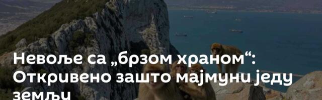 Невоље са „брзом храном“: Откривено зашто мајмуни једу земљу