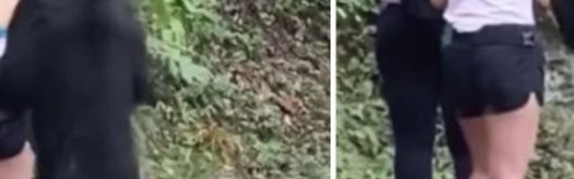 Medved joj se prišunjao, stao na zadnje noge i pozirao za selfi, a onda je počeo da je grize! (VIDEO)