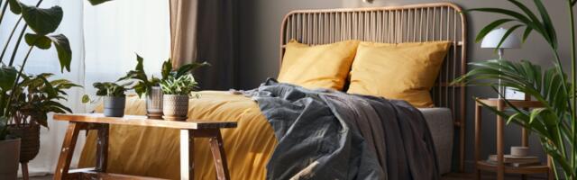 Biljke za spavaću sobu koje pomažu kod nesanice