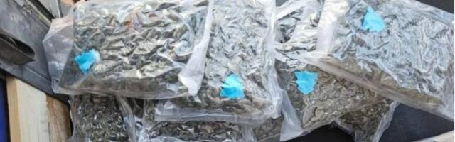 Zaplenjeno 28 kilograma droge! Na prelazu Bogojevo uhapšen muškarac iz Sombora! (FOTO)