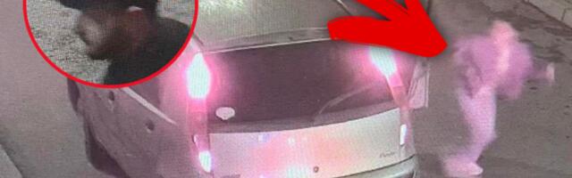 UKRALI AUTOMOBIL SA DETETOM I MILION I PO DINARA! Slovački državljani su danima terorisali Obrenovac, a ovako su uhvaćeni!