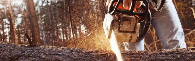 Muškarac umro prilikom seče drva: Jedno ga udarilo u glavu i na mestu UBILO