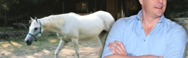 Ovo je vikendica Vuka Kostića na Mokroj Gori: Odrastao na Vračaru, a evo šta ga vezuje za planinu (FOTO)