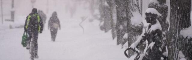 Evo kakvo nas vreme očekuje do kraja januara: Kako mesec odmiče, biće toplije, a nakon leda, stiže prolećna pojava!
