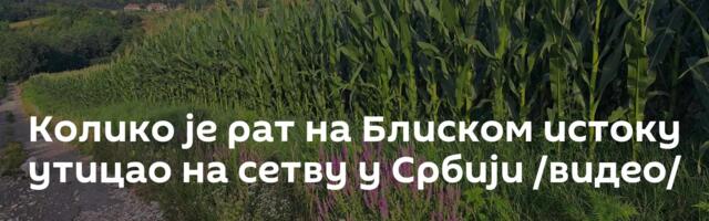 Колико је рат на Блиском истоку утицао на сетву у Србији /видео/