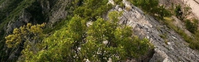 Ovna i Raka muči besparica, pred Vagom je prelep emotivni period