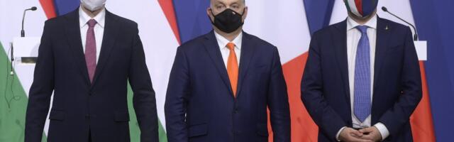 Filip Živanović: Evropska renesansa