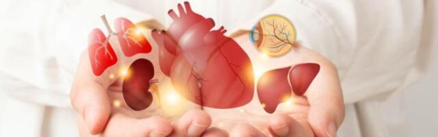 Njegovo srce i dalje kuca