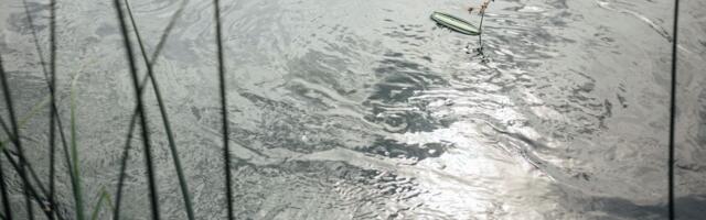 Vanredna odbrana od poplava uvedena na Južnoj Moravi, preventiva na Timoku