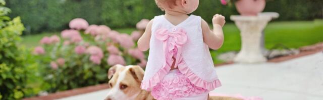 Ljubimci koje bi trebalo izbegavati kada u kući imate bebu
