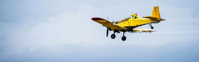 Pao mali avion u Batajnici