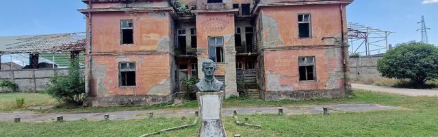 Pogrešna  procena kraljice Milene