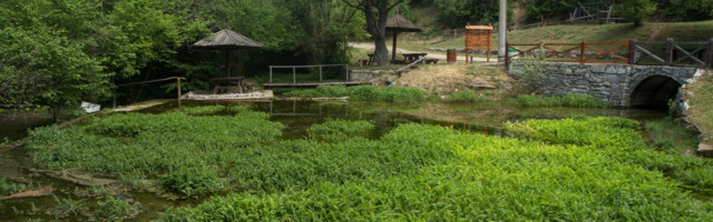 Ovo je mesto koje podmlađuje! (FOTO)