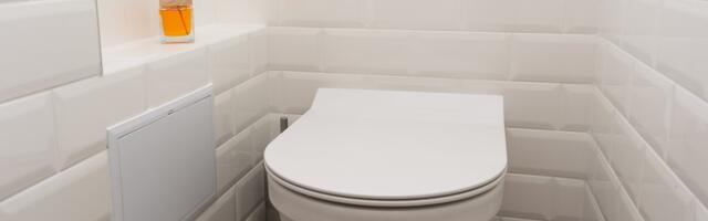 Sipajte ovo u WC šolju i desiće se magija: Hotelske čistačice se kunu u ovaj trik, i to bez ribanja!