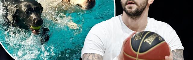 KAKAV CAR! Vladimir Micov iz ljubavi prema svom Flokiju napravio najluksuzniji hotel za pse - imaju i bazen!