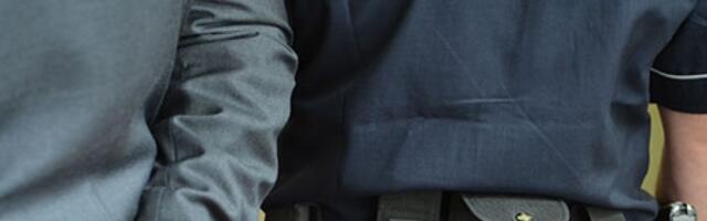 Dolijali: Pali šverceri lažne markirane robe vredne skoro 9 miliona dinara