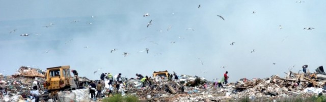 OBEĆANO UHLEBLjENjE SAKUPLjAČIMA: Zatvaraju se kapije stare deponije u Vinči, “sekundarcima” će biti ponuđena radna mesta u “Gradskoj čistoći”