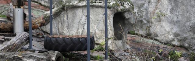 Larisa uginula u 36. godini: Stigla tužna vest, došla u zoo vrt tiho, a postala legenda