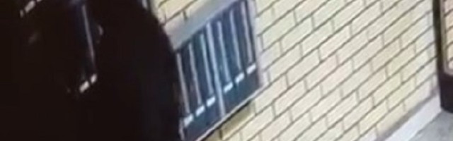 SRAM VAS BILO Naprednjaci dele letke u kojima ljude nazivaju lopovima (VIDEO)