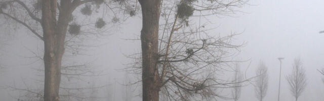 Jutro u Srbiji maglovito i uz mraz: Tokom dana oblačno, najviša dnevna 13 stepeni