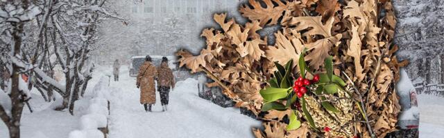 Kada se po pravilu ide po badnjak? Domaćin pre seče obavezan da uradi jednu stvar, a evo šta crkva kaže za položajnika