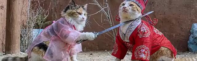 Mikrodrame o kućnim ljubimcima osvajaju svet: Generacija Z ne prestaje da prati AI "pomije za mase"