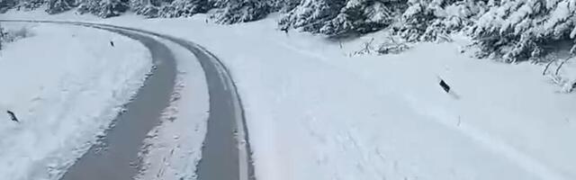 Sneg veje u ovom srpskom gradu: Srbi iznenađeni, pahulje samo padaju, sve se zabelelo (VIDEO)