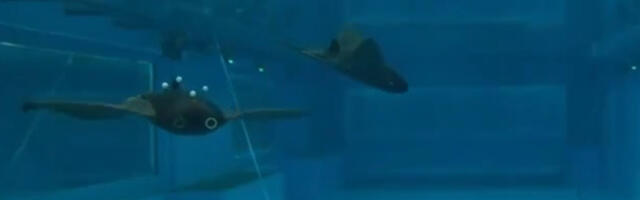 Stiglo čudo od drona: Savitljiva kineska “raža” kreće u lov na podmornice