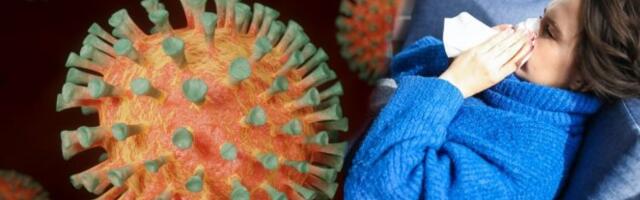 MANJI BROJ ZARAŽENIH I UMRLIH! Ovo je najnoviji korona presek!