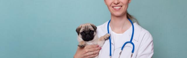 Da li znate šta je Kahunov papirus i zbog čega se spominje svakog 9. decembra u celom svetu