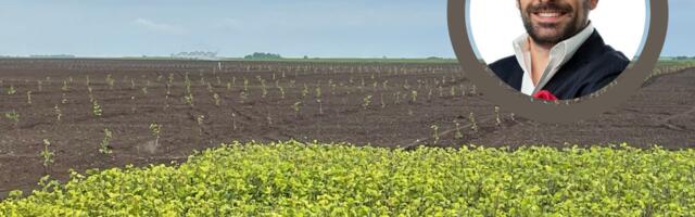 Lešnik kao dugoročna i pametna investicija