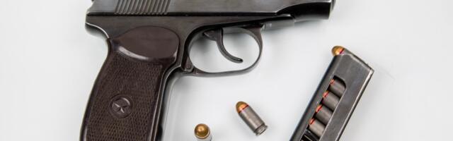 Rekordno naoružavanje civila u BiH