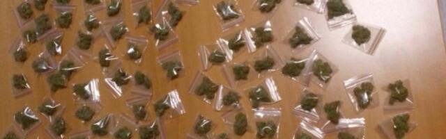 PAO GOLOBRADI DILER SA ZVEZDARE! Vozio skoro 100 paketića marihuane pripremljene za prodaju